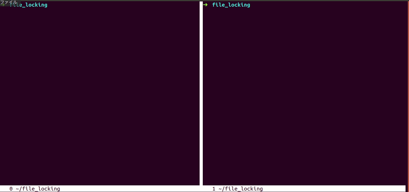 file_locking_non_cooporative
