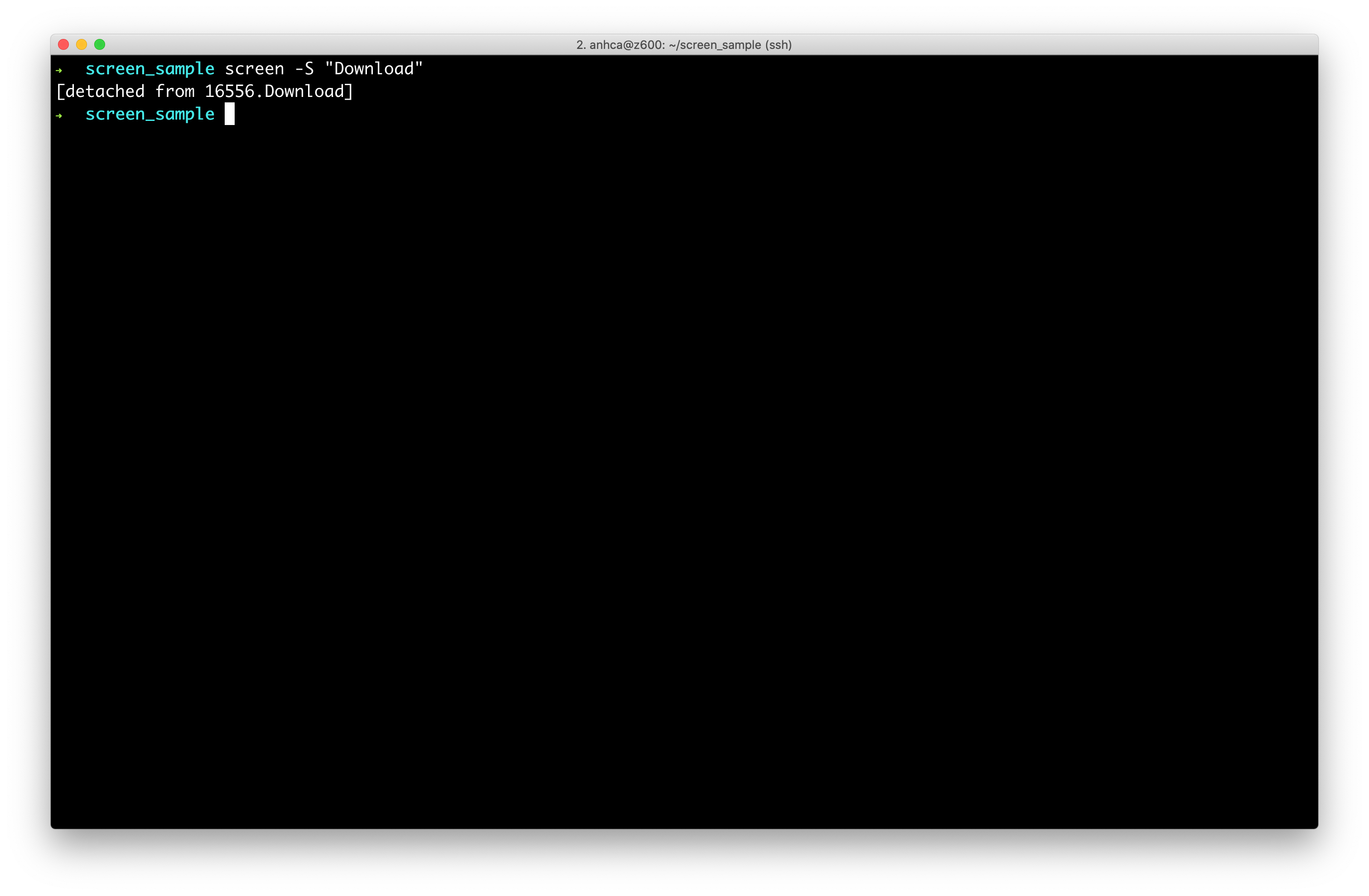 screen_cmd_after_detach