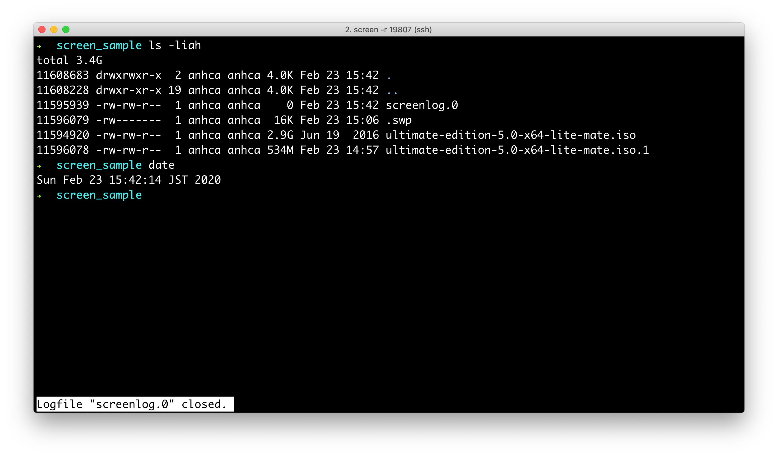 screen_cmd_close_logging