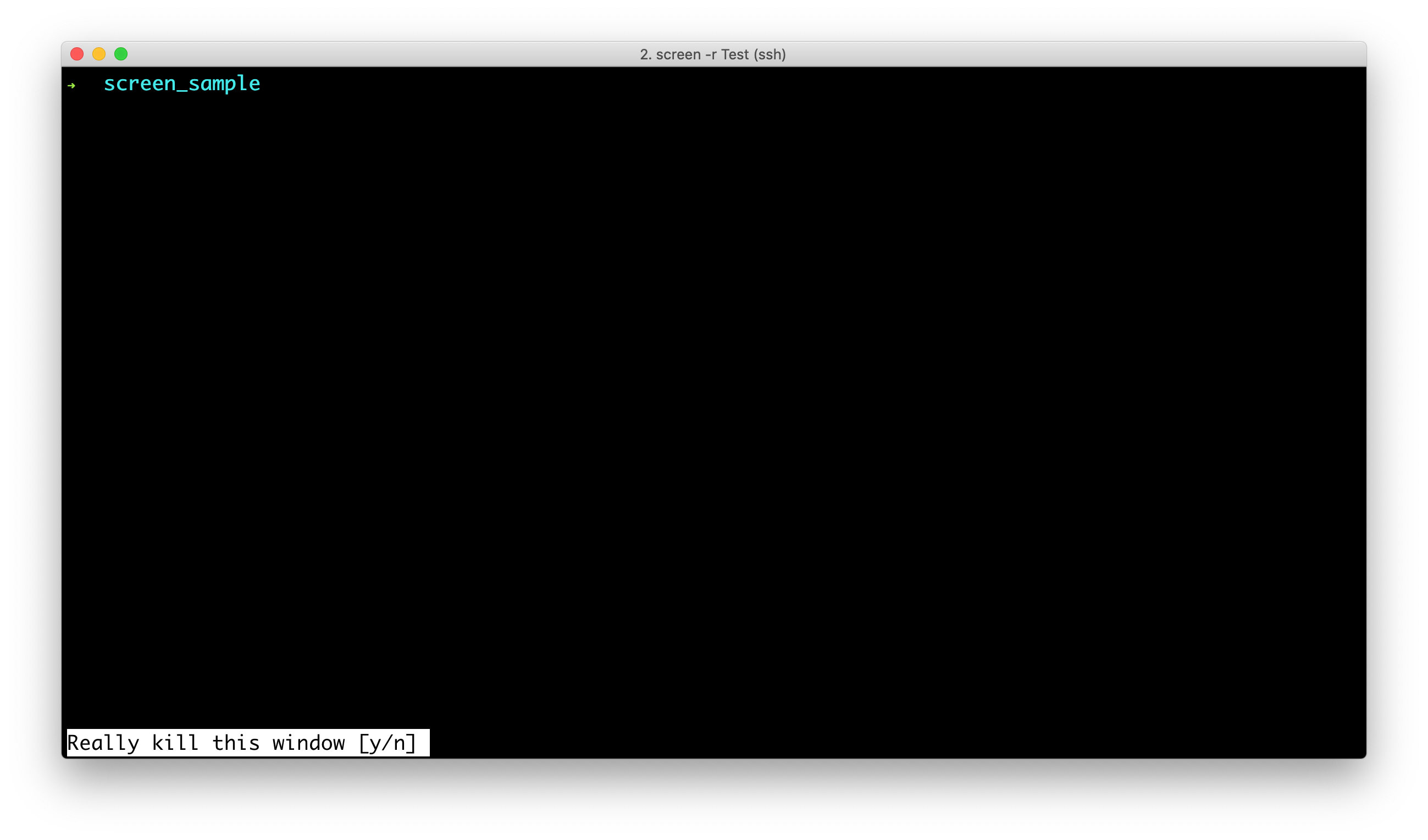 screen_cmd_kill_session