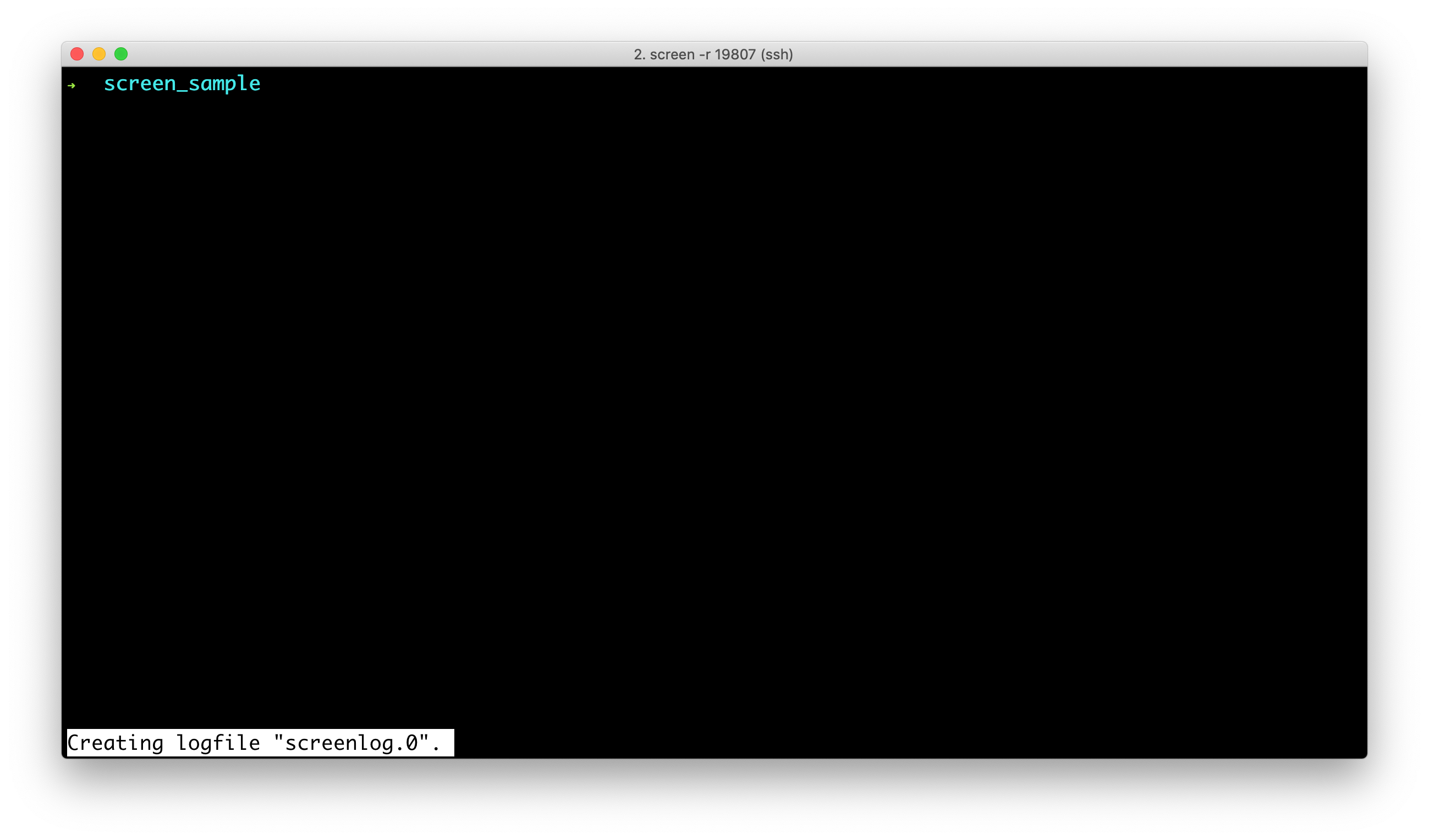 screen_cmd_start_logging